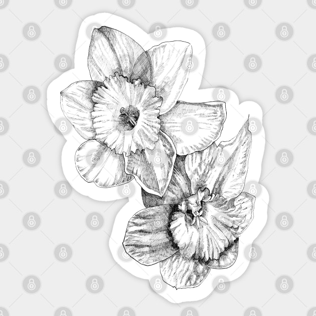 Ink - Daffodil Sticker by artofsuff